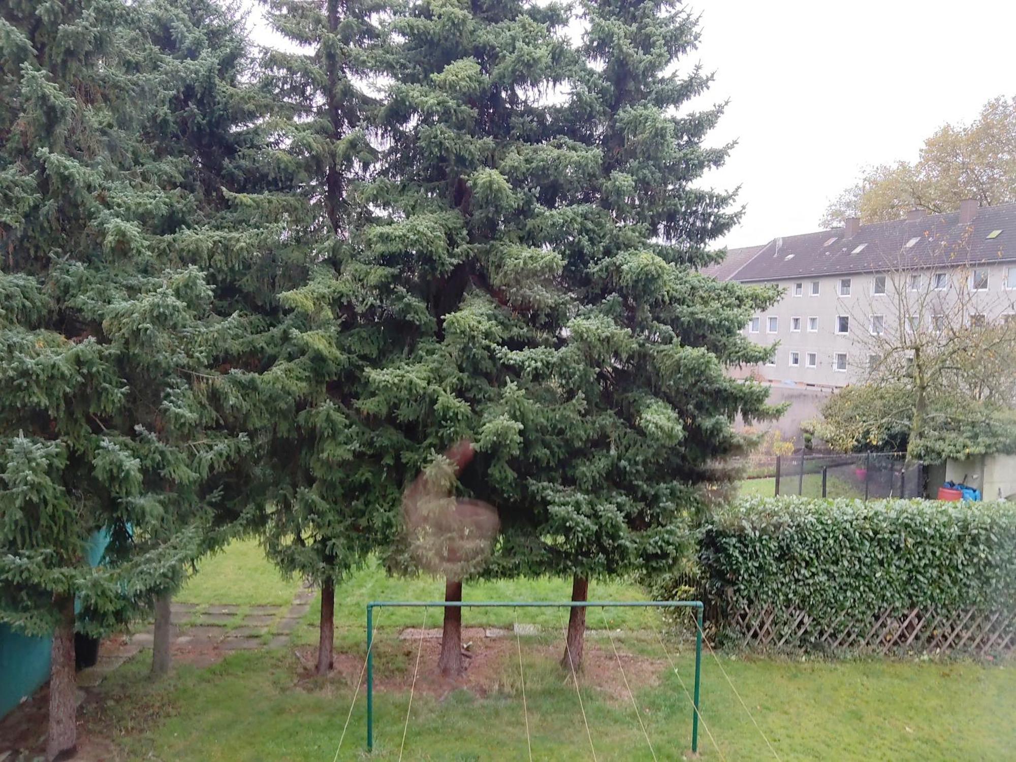 Komfortables Und Ruhiges Appartement Gelsenkirchen